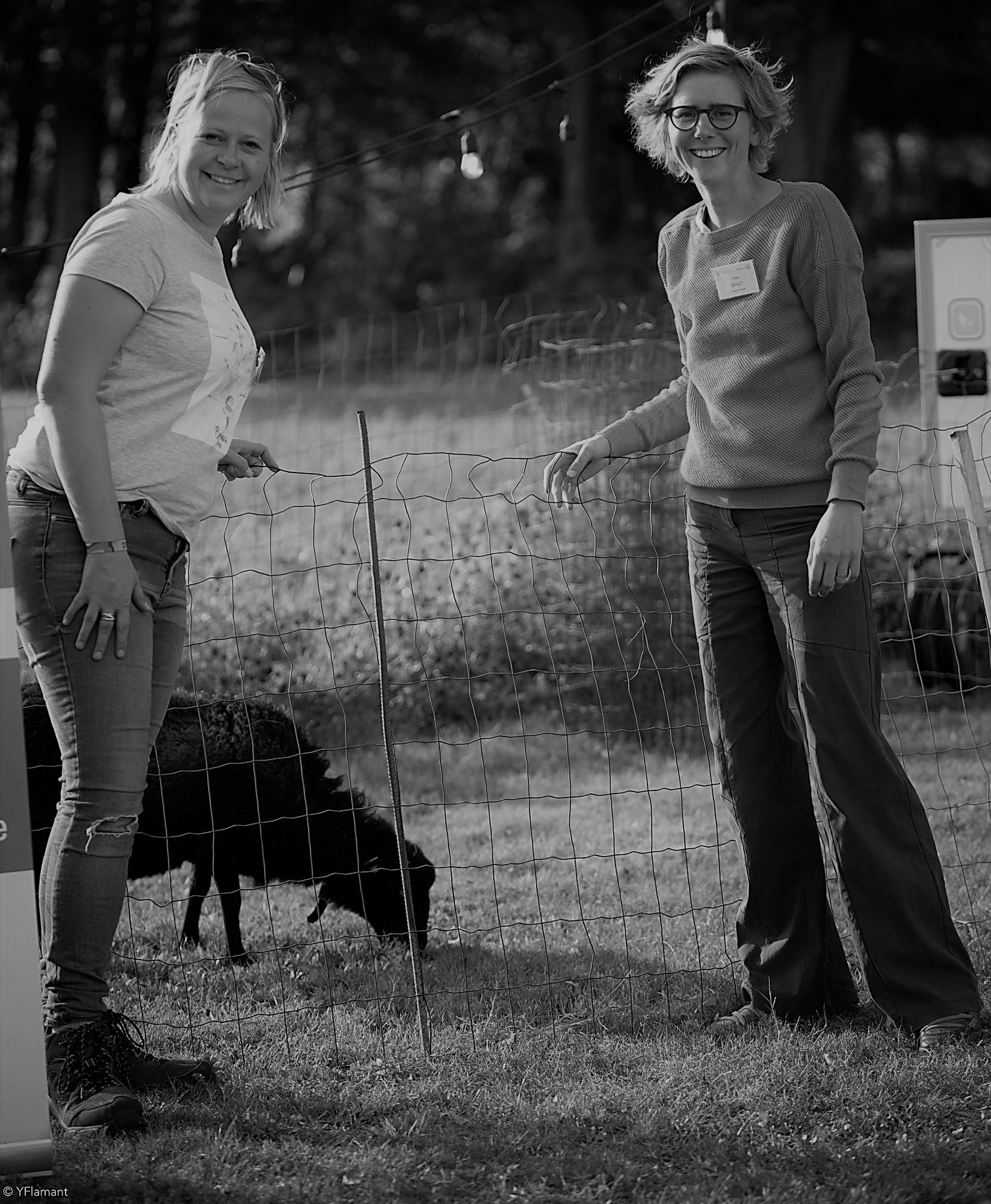 céline et amélie de sheepsolution accompagnées par cygnum pour leur marketing digital